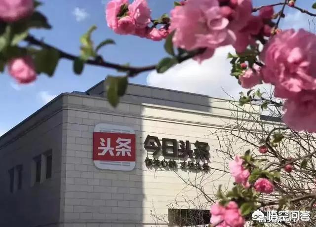 《异想天开》