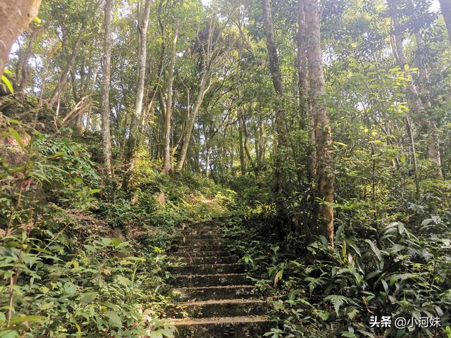 廣東粵北有座道觀，全國唯一一處以福字命名，其景觀更是一絕