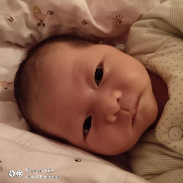 这日子没法过了