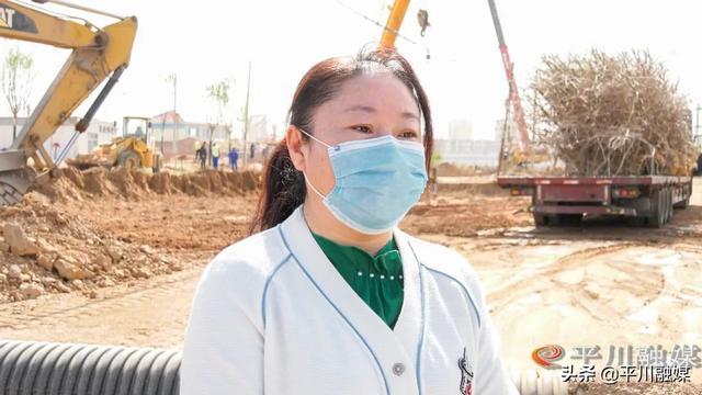 平川区：“国储林+绿色通道”厚植生态底色 扮靓城乡街景