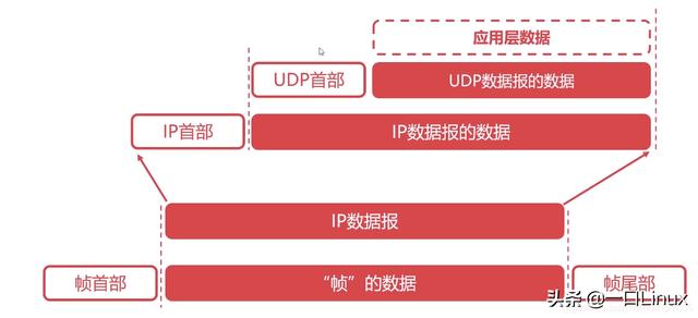 计算机网络知识点全面总结（这也太全了吧！）