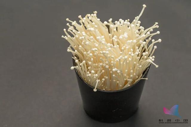 金针菇为什么叫"明天见"？吃了等于白吃？原来一直误会它了…