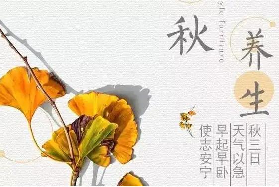 黄帝内经：四季养生必知