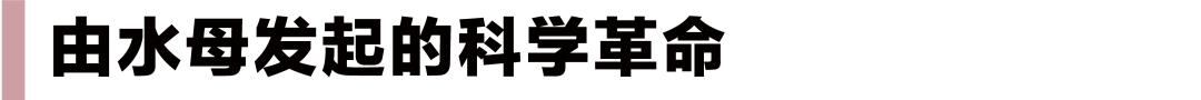 https://www.meipian.cn/56tns5ai
