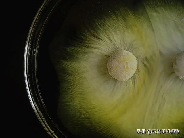 手机镜头跟单反有何区别？如果不知道，几千块就真白花了