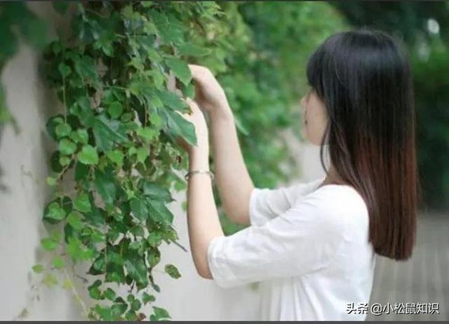 敬君子方显有德，怕小人不算无能退一步天高地阔，让三分心平气和