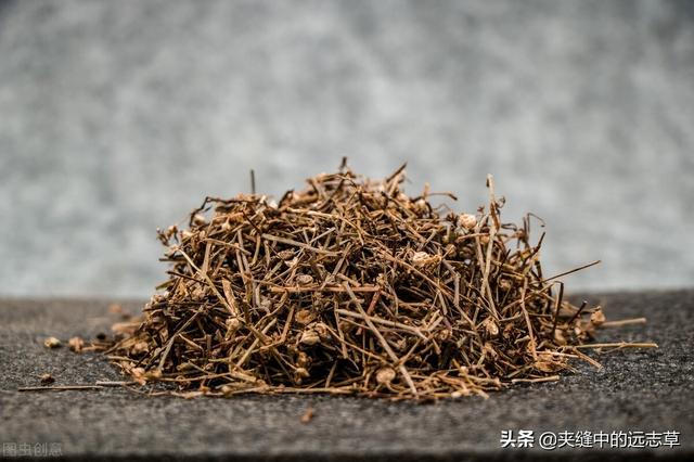 夏之将至，送你一味白花蛇舌草，解热毒、消疮痈、利小便