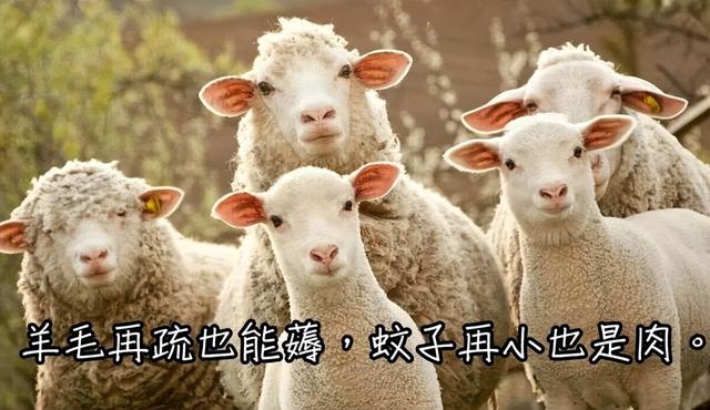 支付宝领取体验金