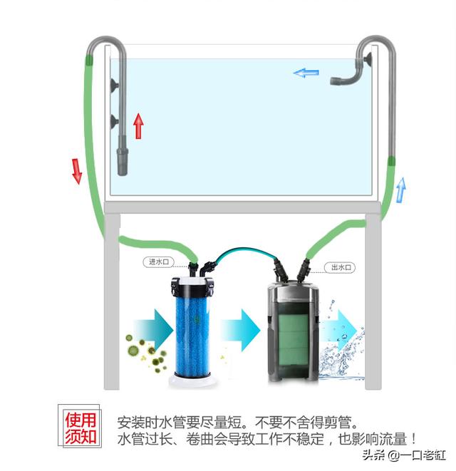 鱼缸过滤器 鱼缸过滤器（鱼缸过滤器里有蚂蟥） 动物