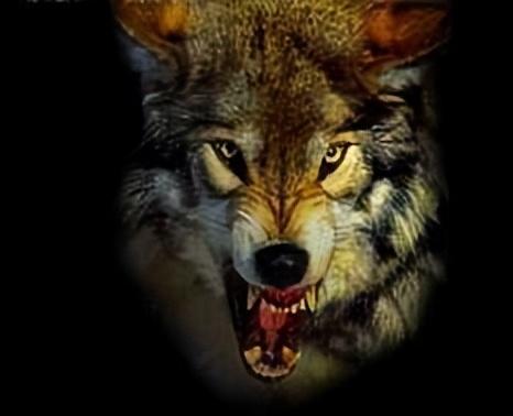 六大思维能力是哪六种马原,马原的五种思维能力