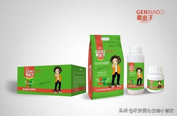 三七根腐病比较有效的防治方法？三七根腐病怎么打药效果好？2