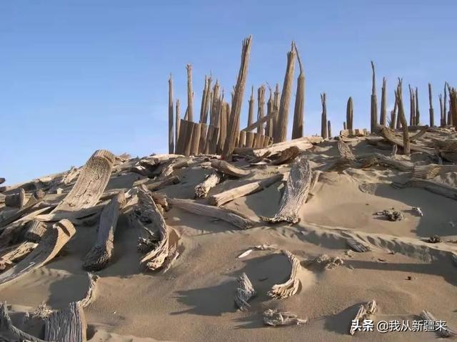 哈密通用轮式洗砂机哪家优惠