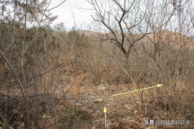 北京徒步登山：房山藥王谷-櫻桃谷登山步道環穿，山野冬季蕭瑟美