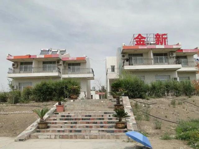 石河子振动轮式洗砂机哪家好