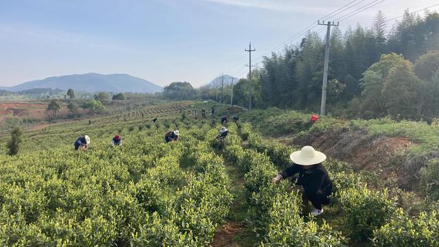用一颗热爱生活的心，打造自己想要的乐园，余生过自己想过的生活