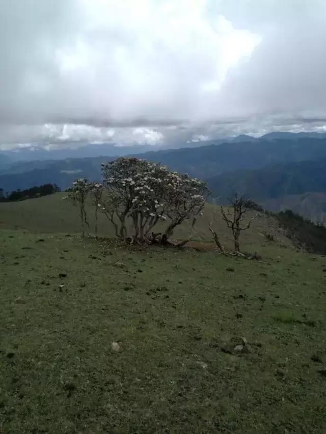 保山风化砂制砂机价格表