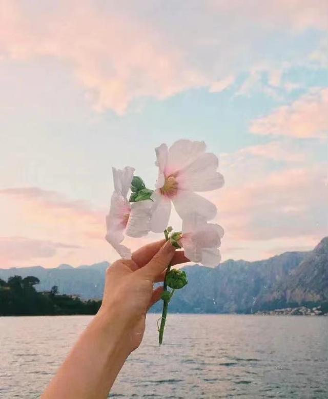 没谈过恋爱的女生_知乎,恋爱没开窍的男生