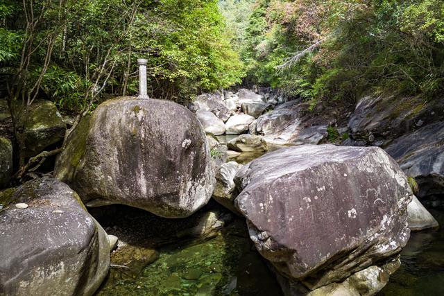 龙谷奇兵,龙谷奇兵手游官网下载