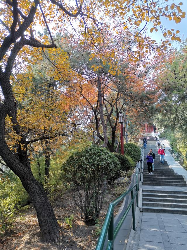 北京，缤紛的秋