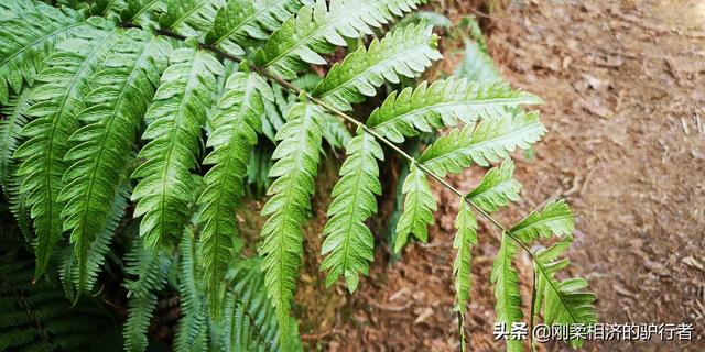年末了，舉家住到了酒店，爲啥？2021年末我們的隔離生活一