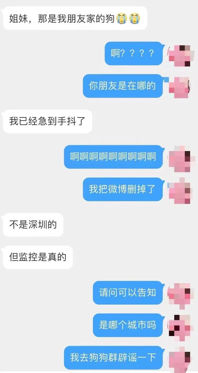 “确诊后，我的猫就要被人道销毁？”