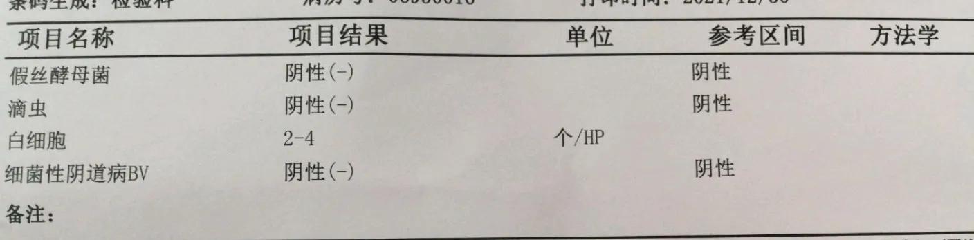 白带检查白细胞是什么意思