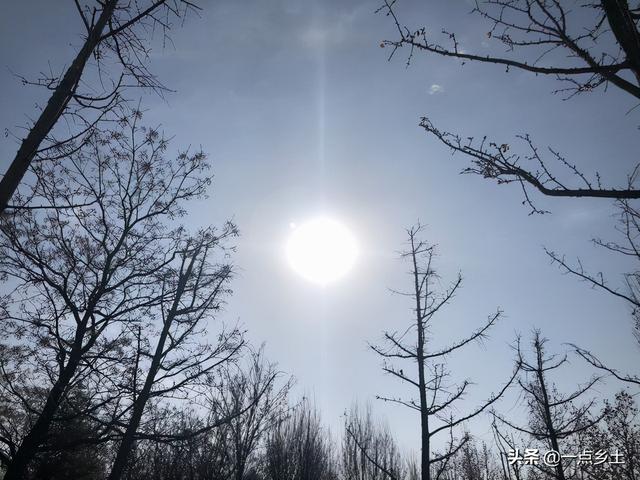 明日“天仓节”，老话说：“天仓不通，四季不宁”，什么是天仓？