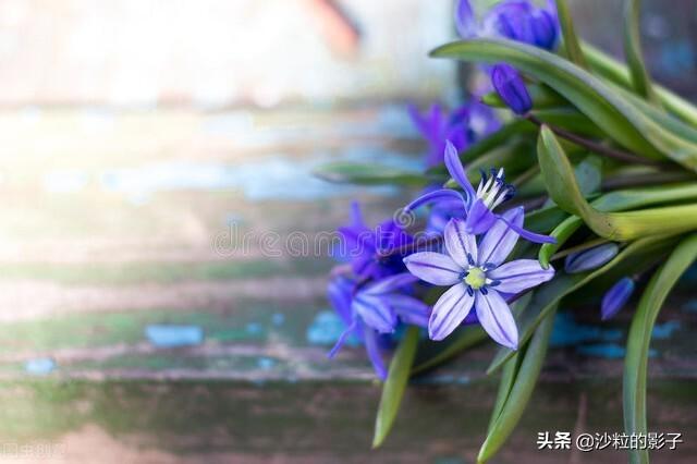 伪装的面具，生活的一部分