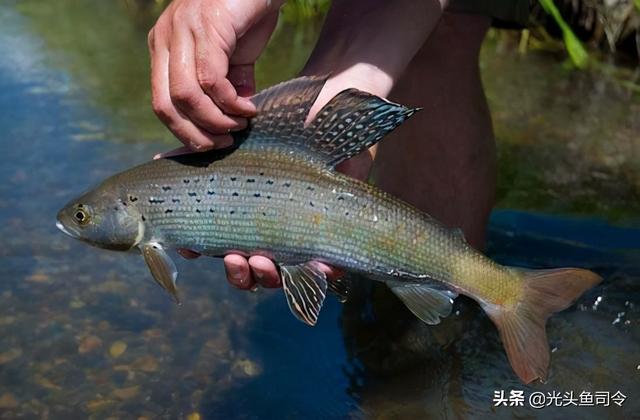 泉州青石制砂机器厂家