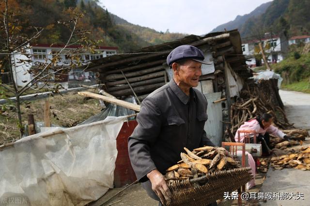 张仲景的肾气丸：一补一泻，肾气足了，耳鸣耳聋也就消了