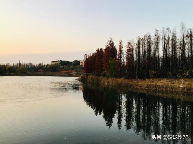 長沙唯一擁有戶外足球場的公園，更有大片水杉美景等你來