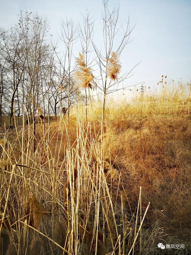 房山牛口峪濕地公園，沒想到風景如此優美