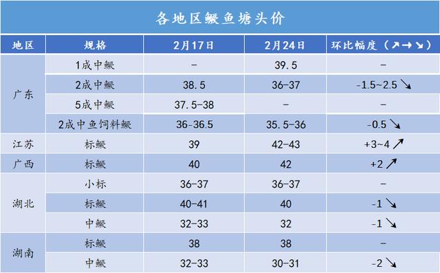 鳜鱼价格