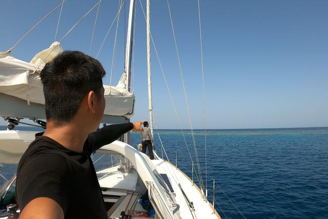 黑色东星斑图片，清蒸东星斑图片