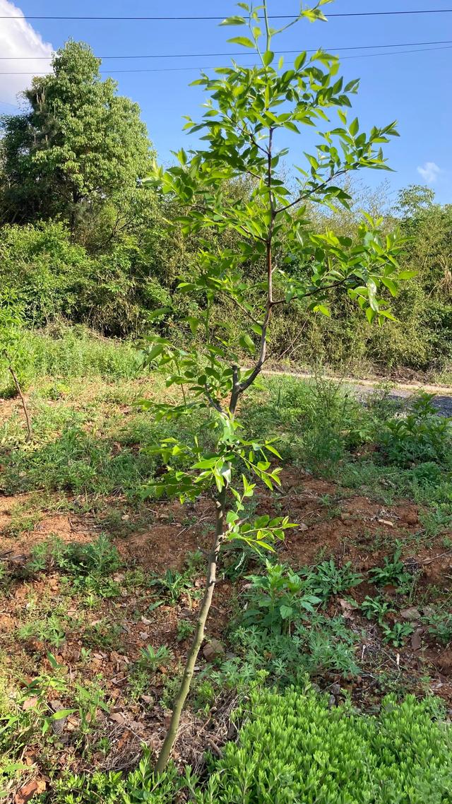 用一颗热爱生活的心，打造自己想要的乐园，余生过自己想过的生活