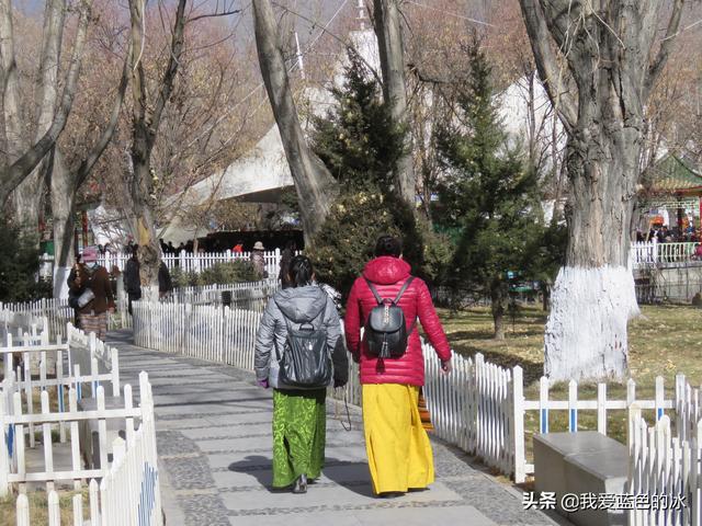 在布達拉宮後面的宗角祿康公園看水鳥能讓您忘記所有的煩惱
