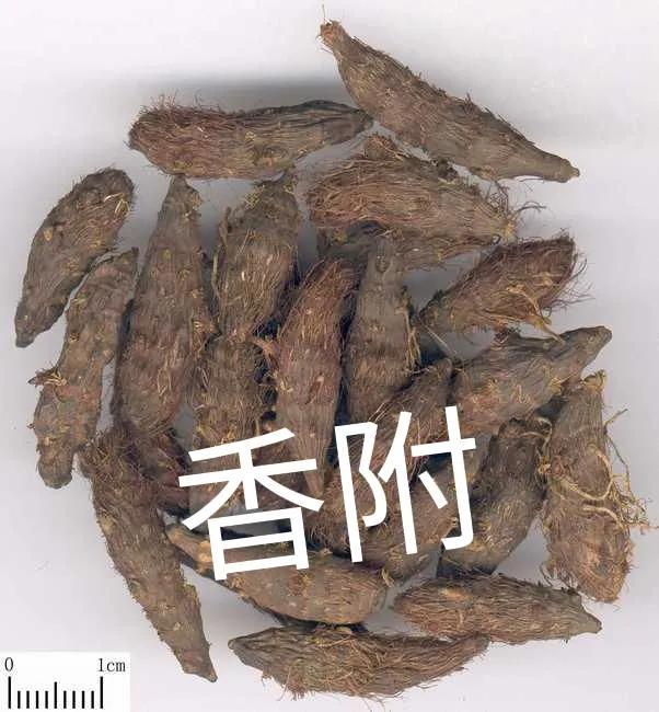 香砂六君丸和香砂养胃丸这两兄弟，治疗胃病有何区别