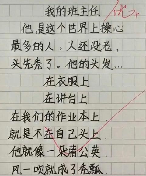 《亲爸》一篇小学生作文