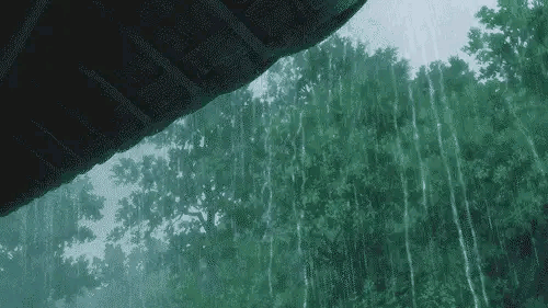 12～15号，大范围特大暴雨连下四天，“冷夏”要来？农谚咋说