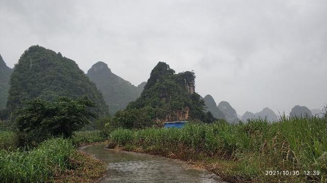 觀鳥兩年——每日期待著與鳥兒的邂逅，踏上了追逐鳥兒的征程