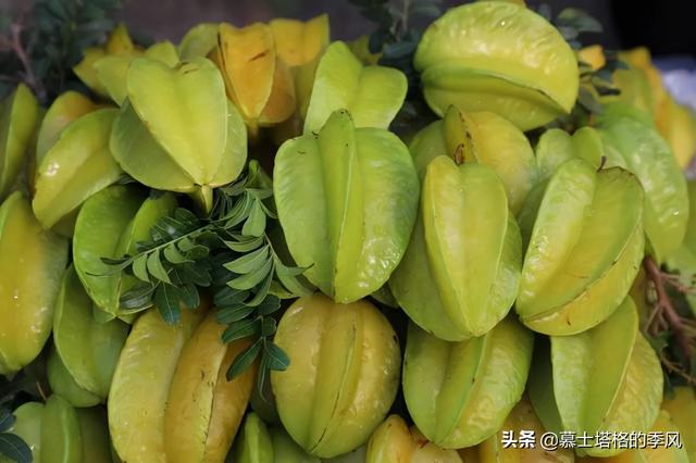 冬天不用去海南了，這5座小城都是老年人過冬避寒的好地方