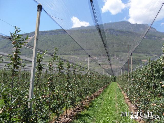 2018年意大利农业机械展