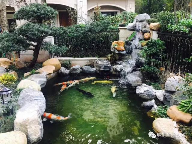 鱼缸转鼓过滤机
