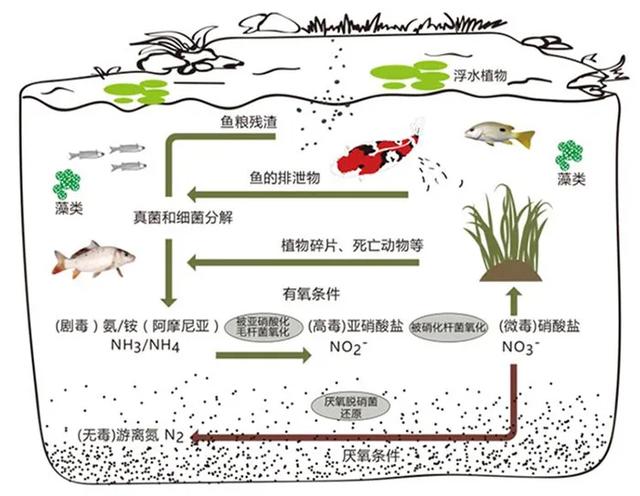 转鼓过滤机好用吗