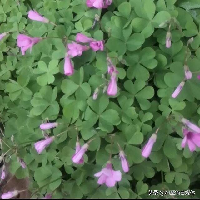 咱们女人要爱自己取悦自己，你若盛开，蝴蝶自来