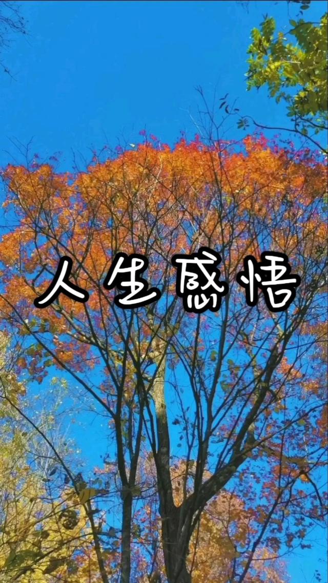 「2022.05.15」早安心语，正能量经典唯美语句，经典励志早安图文