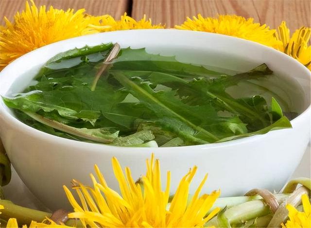 中药又立功？蒲公英或有望成为治癌、消结节的新药，是真的吗