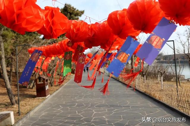 山东工程灯光展哪家好