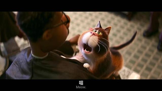 ���꼶����ӰϷ(�ҳ�����һ���꼶��ʲôӰϷ���Ҿ�������ػظ������������á�)