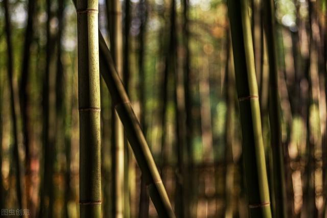 今天中国与欧美之别，钱穆先生早有创见